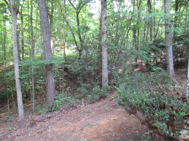 152 Royal Oaks Ln, Dahlonega, GA 30533 - view of tree filled area