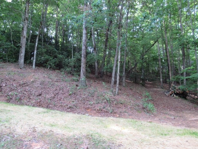 152 Royal Oaks Ln, Dahlonega, GA 30533 - view of yard featuring a view of trees