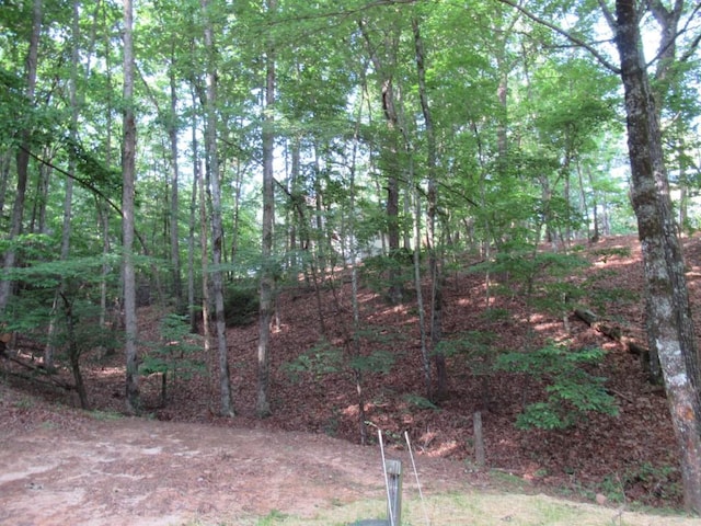 152 Royal Oaks Ln, Dahlonega, GA 30533 - view of yard
