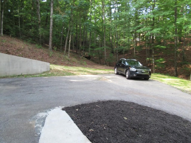 152 Royal Oaks Ln, Dahlonega, GA 30533 - view of road with a wooded view