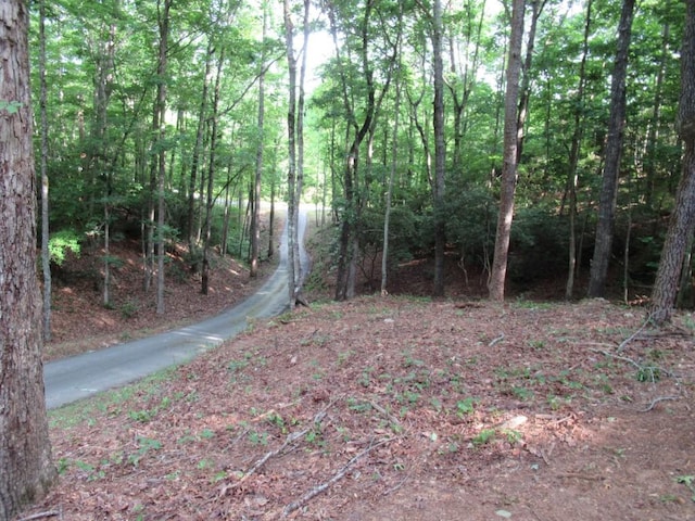 152 Royal Oaks Ln, Dahlonega, GA 30533 - view of woods