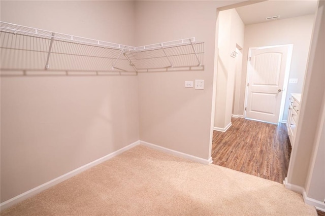 155 Sanctuary Pl, Jasper, GA 30107 - walk in closet with carpet