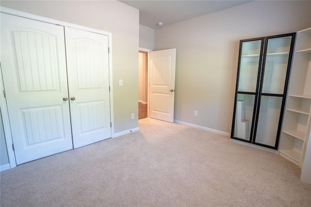 155 Sanctuary Pl, Jasper, GA 30107 - unfurnished bedroom featuring carpet floors and a closet