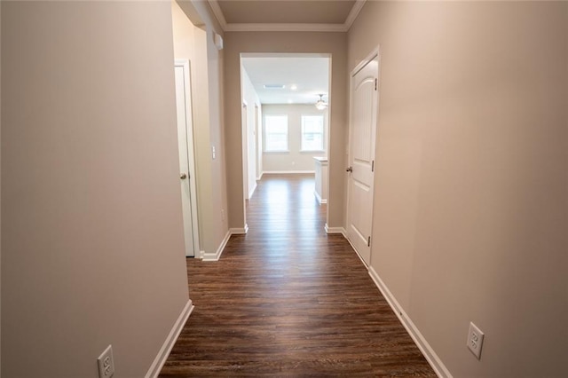 155 Sanctuary Pl, Jasper, GA 30107 - hall featuring dark wood finished floors and crown molding