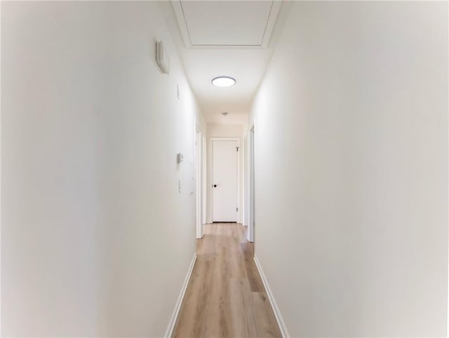 hall featuring light wood finished floors and baseboards