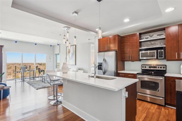 kitchen with appliances with stainless steel finishes, wood finished floors, a sink, and open shelves