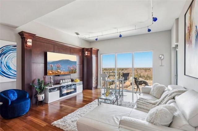 living area featuring track lighting and wood finished floors