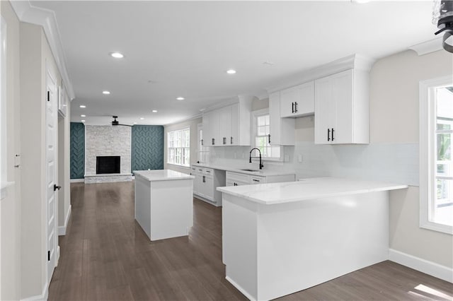 kitchen with white cabinetry, dark hardwood / wood-style floors, a healthy amount of sunlight, and a fireplace