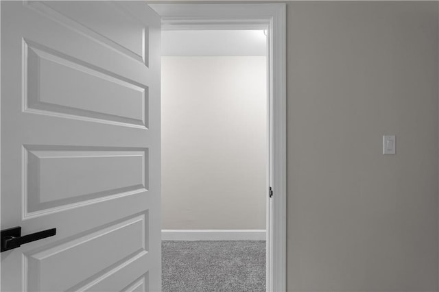 walk in closet featuring carpet