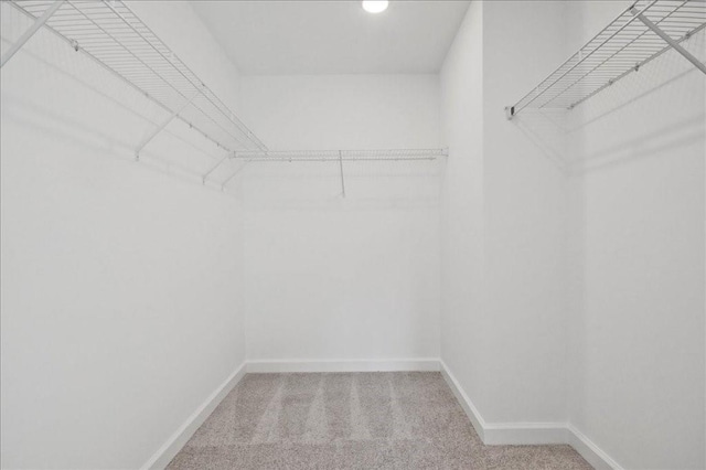 spacious closet with carpet floors