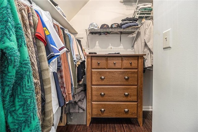 1175 Haven Brook Way, Atlanta, GA 30319 - spacious closet with dark wood-style floors