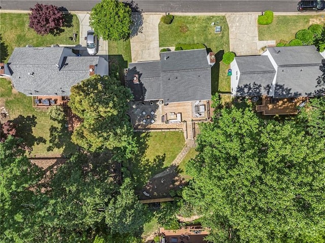 1175 Haven Brook Way, Atlanta, GA 30319 - aerial view of property and surrounding area