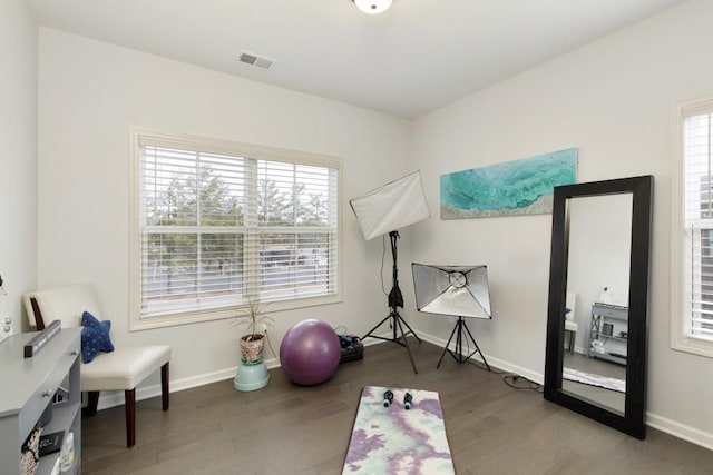 workout area with plenty of natural light and wood-type flooring