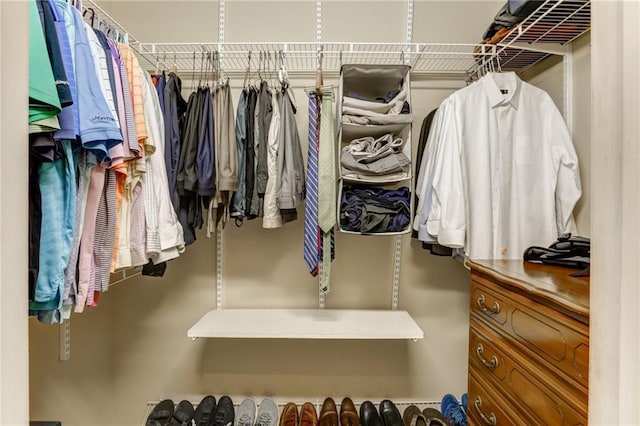 view of spacious closet