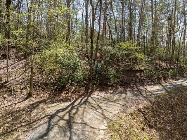 0 N Lake Dr, Ellijay GA, 30536 land for sale