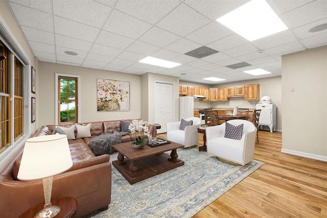 living room featuring light hardwood / wood-style floors