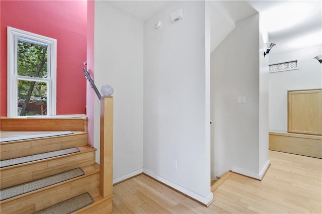 stairs with hardwood / wood-style flooring