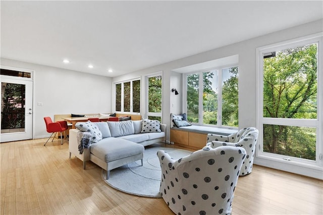 living room featuring light hardwood / wood-style floors