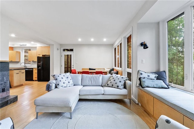 living room with light wood-type flooring and sink