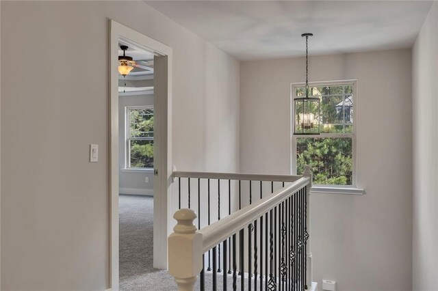 506 Tallapoosa Trl, Woodstock, GA 30188 - corridor featuring carpet, an upstairs landing, baseboards, and a healthy amount of sunlight