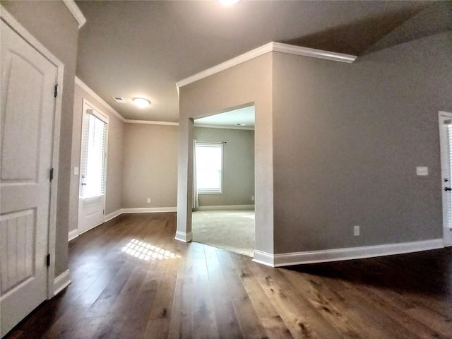 foyer entrance featuring baseboards, dark wood-style flooring, and crown molding