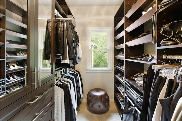 walk in closet with carpet