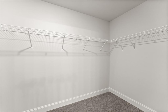 walk in closet with dark colored carpet