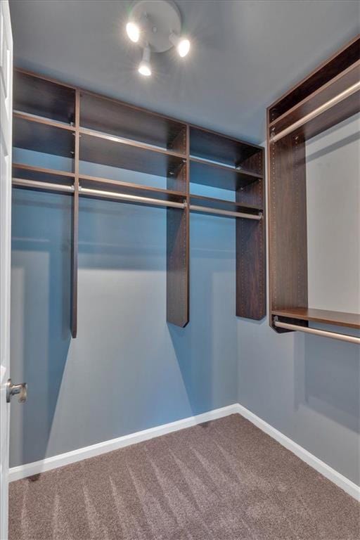 212 Thorncliff Way, Acworth, GA 30101 - walk in closet with carpet