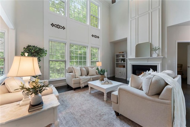 5828 Paliser Trce, Sugar Hill, GA 30518 - living room with a high ceiling and a glass covered fireplace