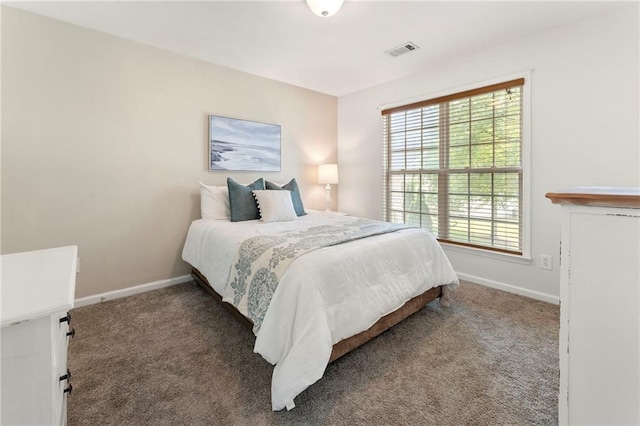 5828 Paliser Trce, Sugar Hill, GA 30518 - bedroom with carpet flooring, multiple windows, and baseboards