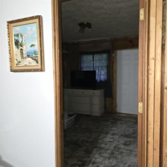 80 Two Run Creek Trl NW, Cartersville, GA 30120 - hall featuring dark colored carpet