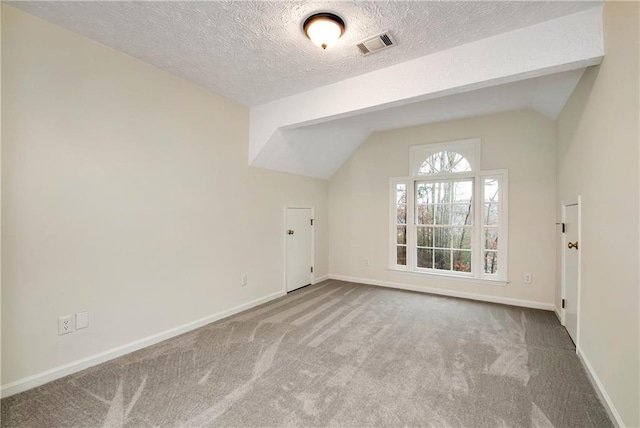 additional living space featuring lofted ceiling, a textured ceiling, and carpet flooring