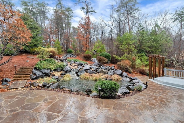 view of yard featuring a patio area