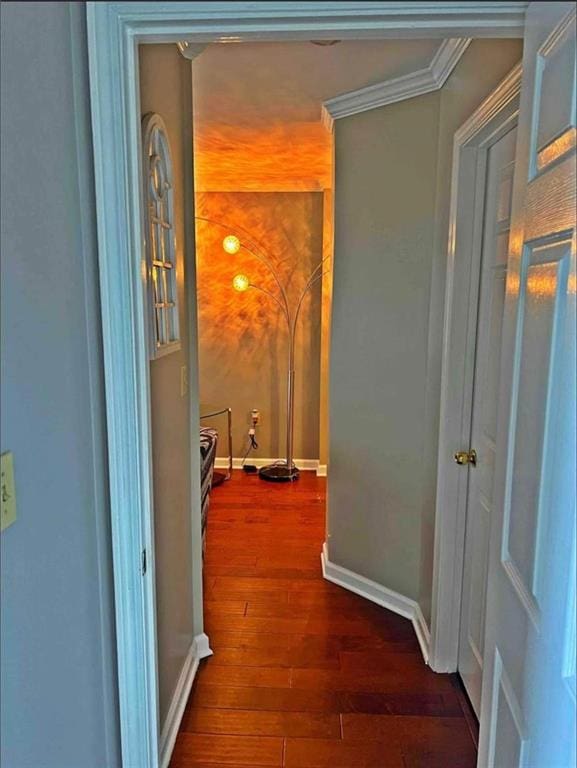 795 Hammond Dr Unit 813, Sandy Springs, GA 30328 - hall with dark wood-style floors and ornamental molding