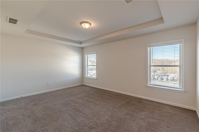 carpeted spare room featuring plenty of natural light and a tray ceiling