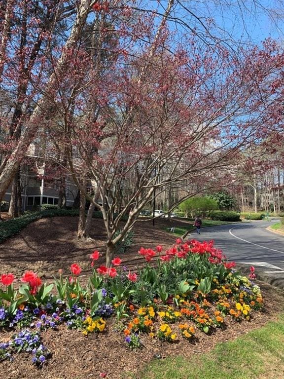 1507 Wynnes Ridge Cir SE, Marietta, GA 30067 - view of yard