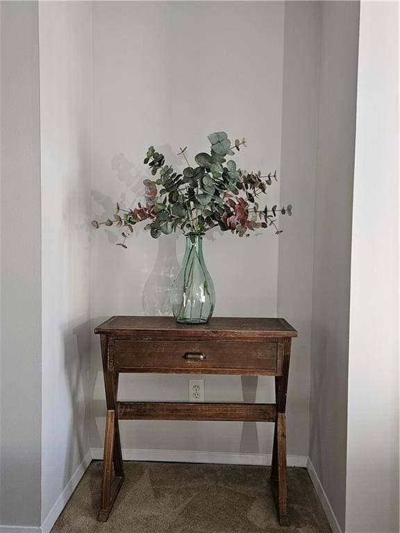 details featuring baseboards and carpet