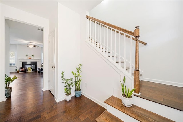 stairs with visible vents, baseboards, a fireplace with raised hearth, ceiling fan, and wood finished floors