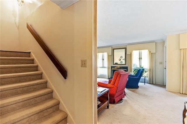 stairs featuring carpet floors and ornamental molding