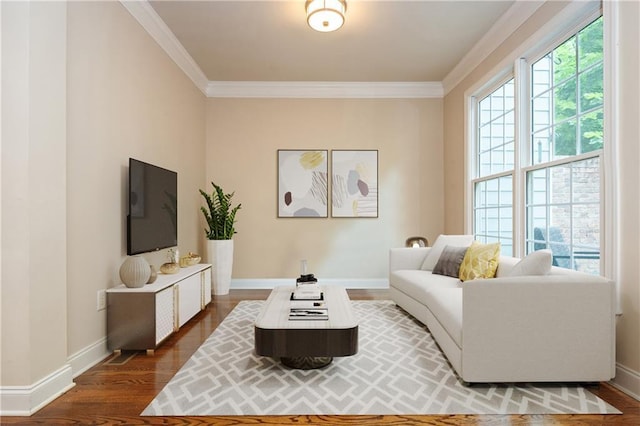 2025 Eagle Rdg, Roswell, GA 30076 - living area featuring baseboards, crown molding, and dark wood-type flooring