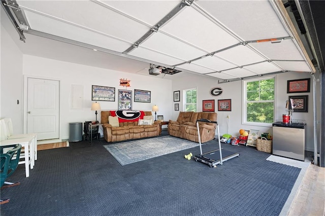 1417 Woodrow Kay Rd, Rockmart, GA 30153 - workout area with a garage, healthy amount of natural light, and carpet flooring