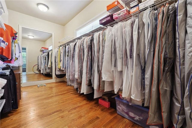 walk in closet with hardwood / wood-style floors