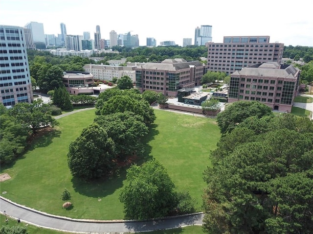 bird's eye view