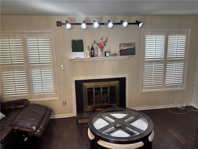 living room with baseboards, wood finished floors, and a glass covered fireplace