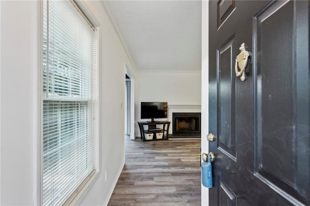 foyer entrance with a fireplace with raised hearth, baseboards, wood finished floors, and crown molding