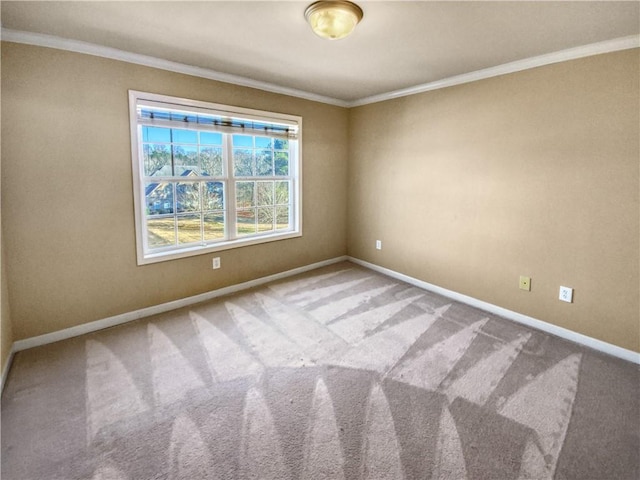 unfurnished room with ornamental molding and carpet