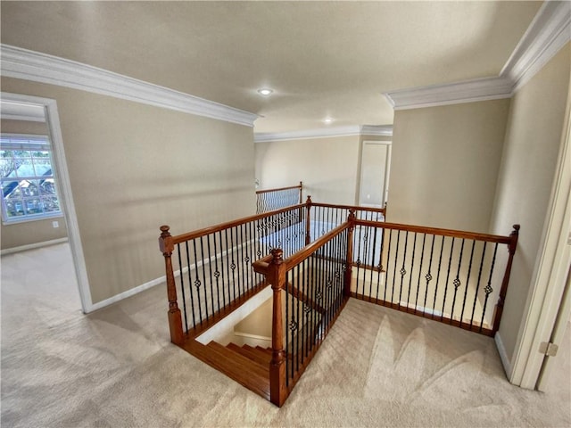 stairway featuring crown molding and carpet