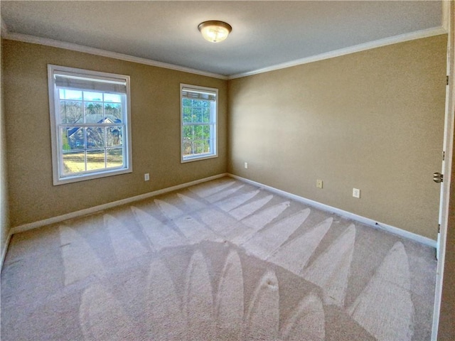 carpeted spare room with ornamental molding