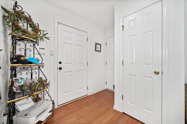 entryway featuring hardwood / wood-style flooring