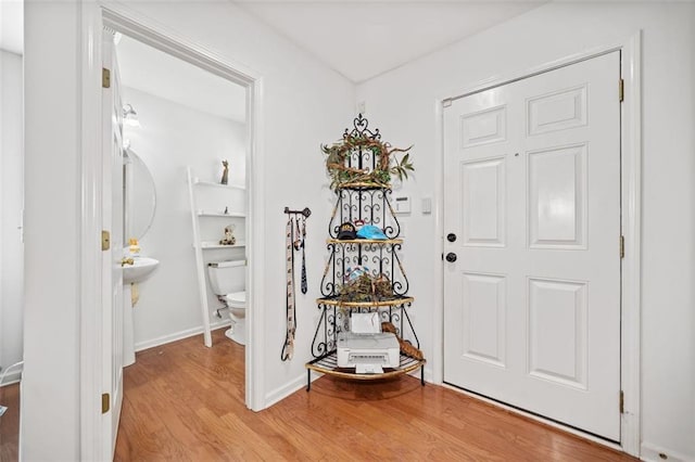 entrance foyer with light hardwood / wood-style flooring